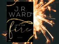 "Into the Fire" hat mich begeistert und gefesselt !!